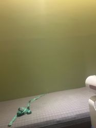 -美丽妈妈产后恢复中心(城西力盟国芳店)