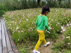 -长兴太湖图影湿地文化园