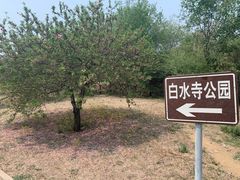 -白水寺森林公园