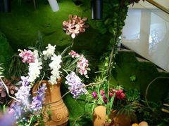 -花漫里·日式の创意餐厅(刺桐店)