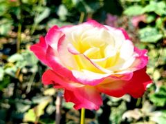 -人民公园(罗湖区)