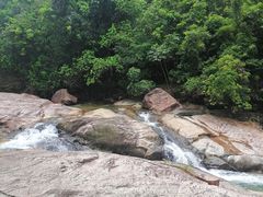 -广州白江湖森林公园