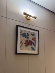 -娇莉芙美颜SPA连锁