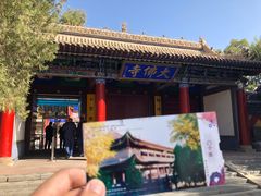 -张掖大佛寺景区