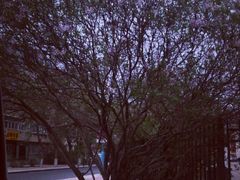 -香港麦道(毅腾商都店)