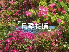 -太阳宫公园