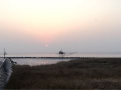 -南汇嘴观海公园