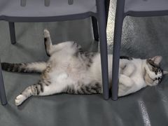 -蓝天射箭馆·专业射箭运动(诚丰广场店)