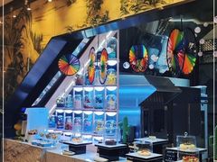 自助取餐区-河北宾馆·香溢自助餐(裕华店)