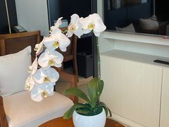 -成都博舍酒店
