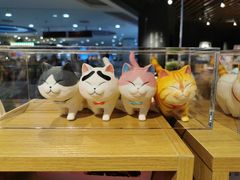 -九木杂物社(新奥购物中心店)
