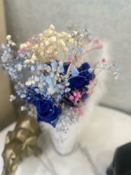 -金圣医疗美容