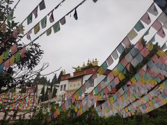 -云南民族村