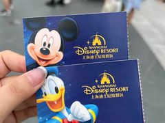 -上海迪士尼度假区