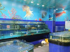 -小海豚•老字号海鲜餐厅(天涯店)