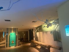 -春晖园度假酒店温泉