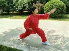 -武清南湖绿博园