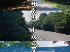 -南湖湿地公园