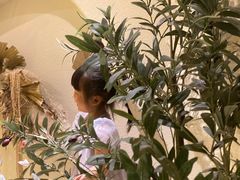 -伊斯坦布尔土耳其清真咖啡餐厅