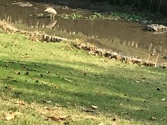 -上海欢乐谷-停车场