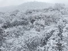 -太子岭滑雪场