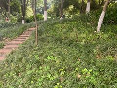 -成都市活水公园