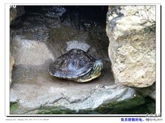 -火炉山森林公园