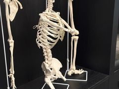 -TOP健身私教工作室(侨香店)