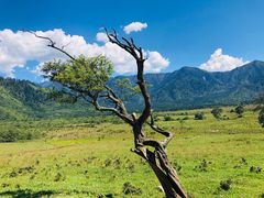 -石棉县孟获城