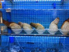 -老太太海鲜城(森林公园任家台店)