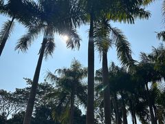 -中国科学院西双版纳热带植物园