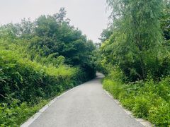 -白马涧龙池景区
