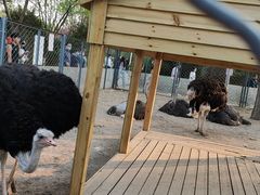 -长白岛森林公园