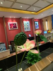 -盘子女人坊(珠海拱北旗舰店)