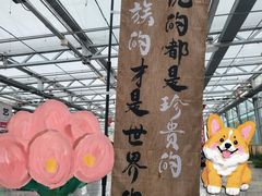 -长春农博园