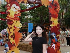 -灵玲国际马戏城