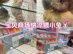 -鹏欣水游城