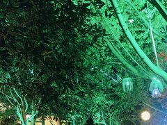 -西江印象酒楼