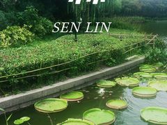 -黄兴公园
