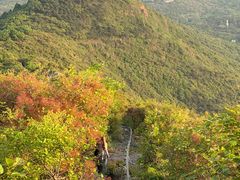 -北京十三陵国家森林公园蟒山景区