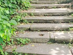 -杭州半山国家森林公园