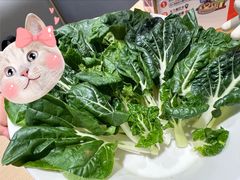 -新大新1993贵州山里味(青云市集店)