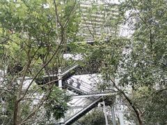-佛山华盖山公园