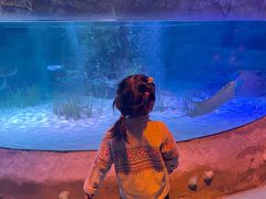 -沈阳海洋探索中心