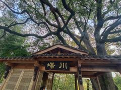-塔川景区