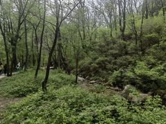 -玉渡山自然风景区