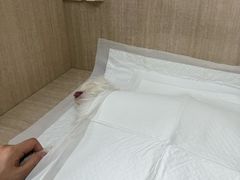 -北京观赏动物医院·24小时大型综合·猫专科·异宠专科