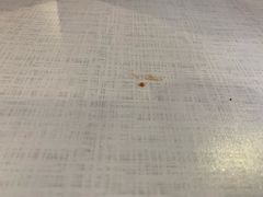 -麦当劳(元朗贸易中心店)