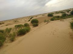 -银肯塔拉沙漠生态旅游景区