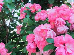 -长辛店二七公园